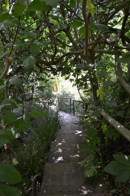 Glasshouse In The Winelands Hotel Stellenbosch Exterior photo