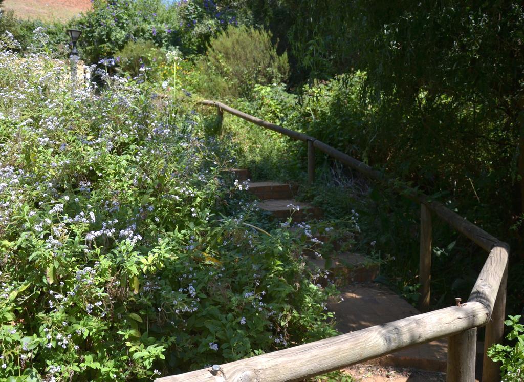 Glasshouse In The Winelands Hotel Stellenbosch Exterior photo